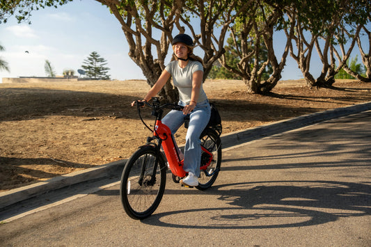 E11EVEN ELEANOR comfortable electric bike