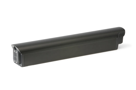 Dragonfly 10Ah Battery