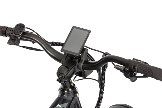 LCD Display | Defiant